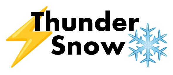 thundersnowauctions.com