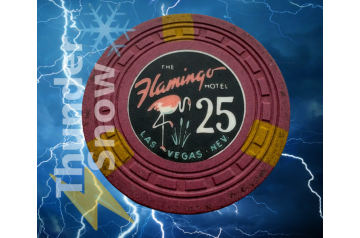 $25 Flamingo Las Vegas Nevada Casino Chip 5th Issue